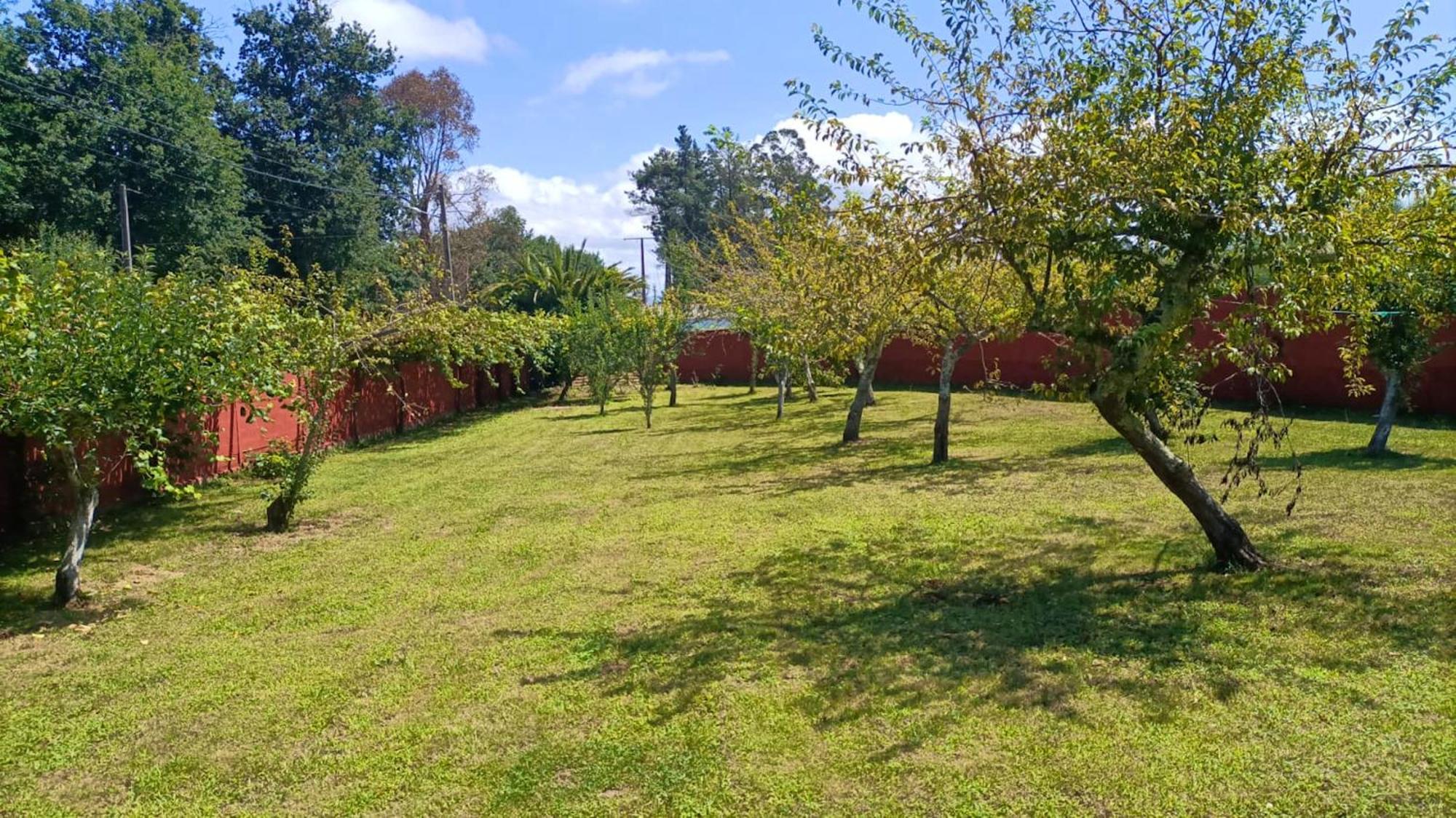 Spacious House With Garden In Touro - Family Friendly Villa Exterior photo